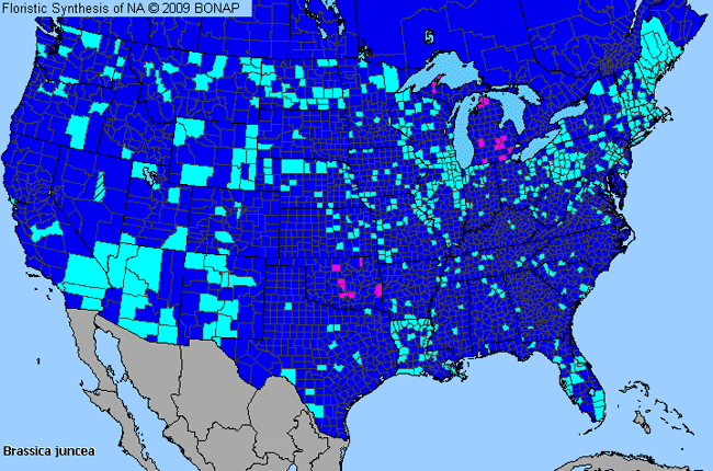 Allergies By County Map For Chinese Mustard