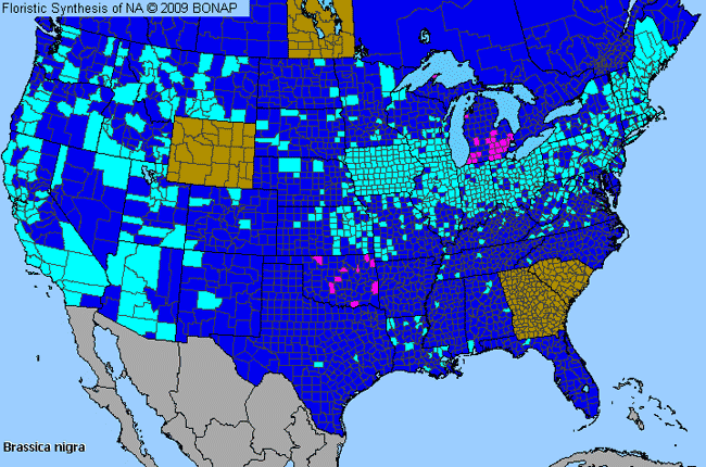 Allergies By County Map For Black Mustard