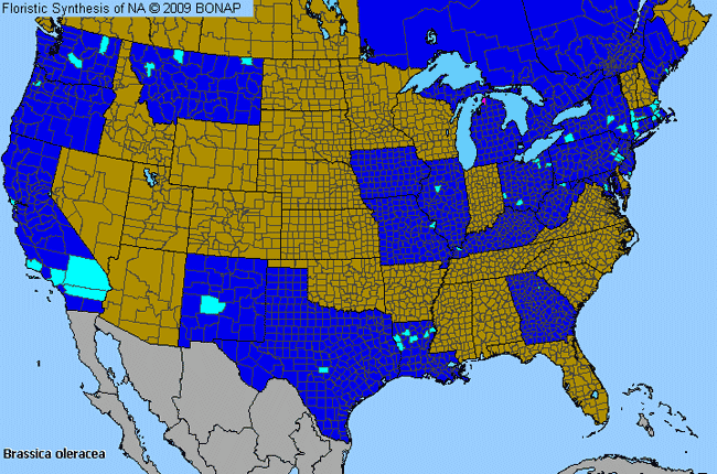 Allergies By County Map For Cabbage