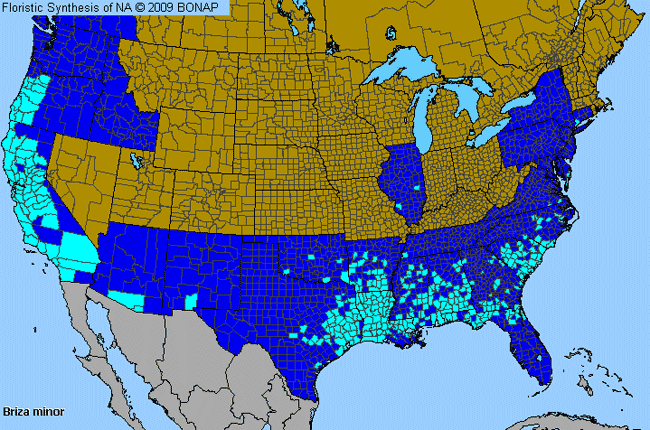 Allergies By County Map For Lesser Quaking Grass