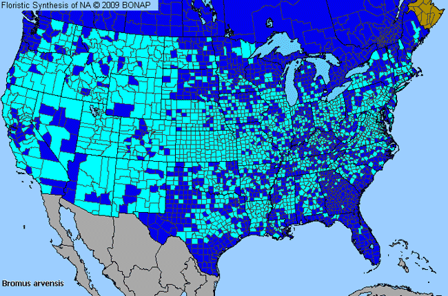 Allergies By County Map For Japanese Brome