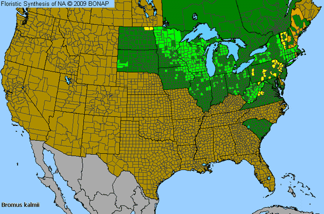 Allergies By County Map For Kalm's Brome