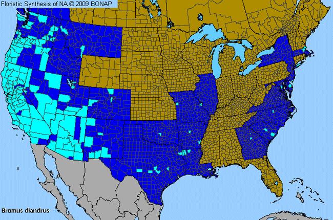 Allergies By County Map For Ripgut Brome