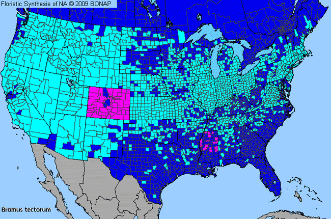 Allergies By County Map For Cheat Grass