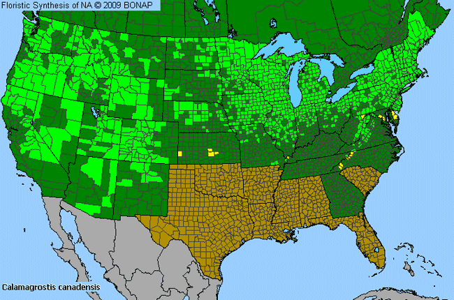 Allergies By County Map For Bluejoint