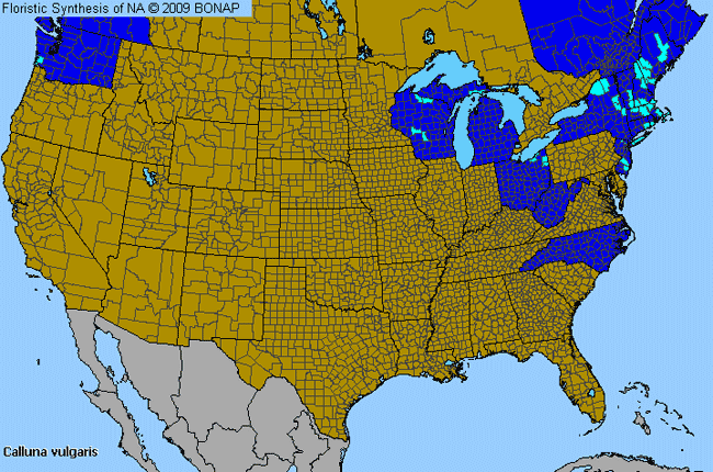 Allergies By County Map For Heather