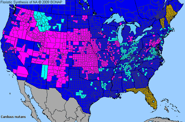 Allergies By County Map For Nodding Plumeless-Thistle