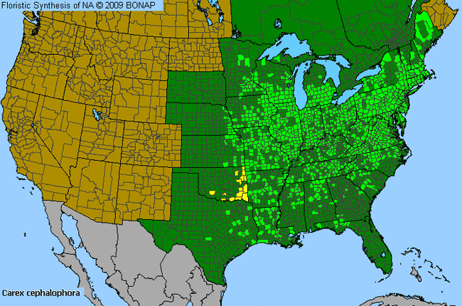 Allergies By County Map For Oval-Leaf Sedge