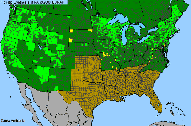 Allergies By County Map For Lesser Bladder Sedge