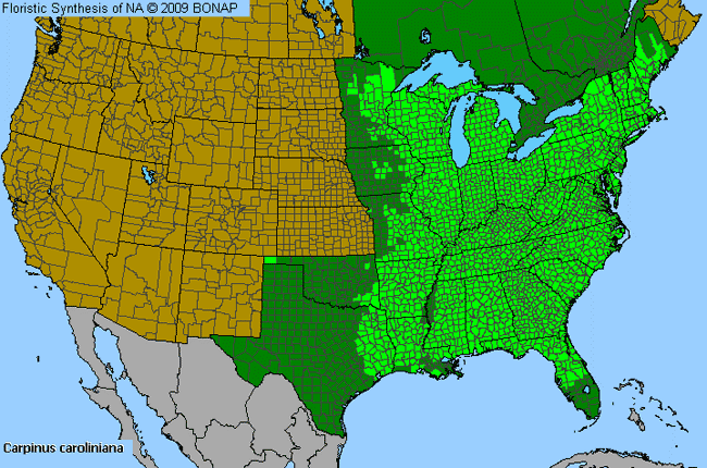 Allergies By County Map For American Hornbeam