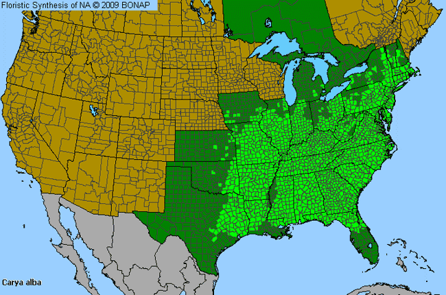 Allergies By County Map For Mockernut Hickory