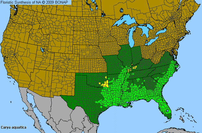 Allergies By County Map For Water Hickory