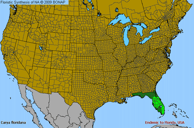 Allergies By County Map For Scrub Hickory