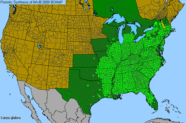 Allergies By County Map For Pignut Hickory