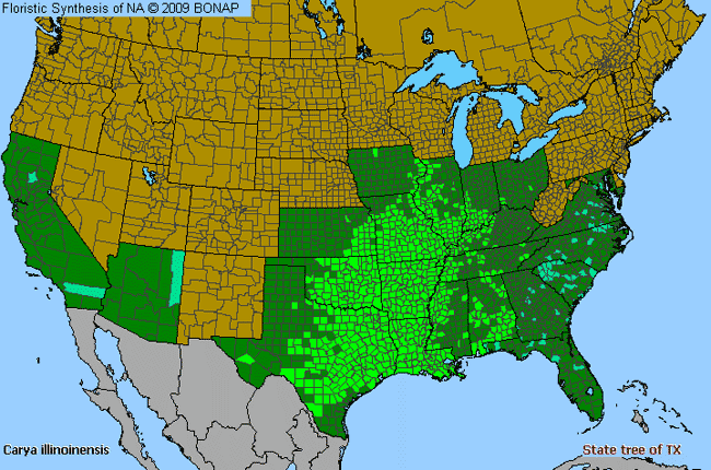 Allergies By County Map For Pecan