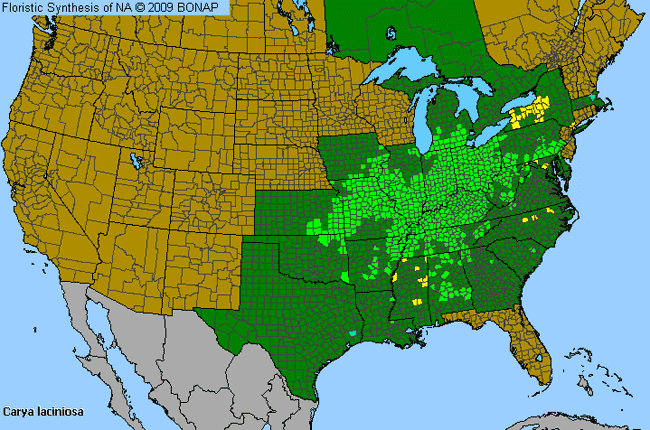 Allergies By County Map For Shell-Bark Hickory