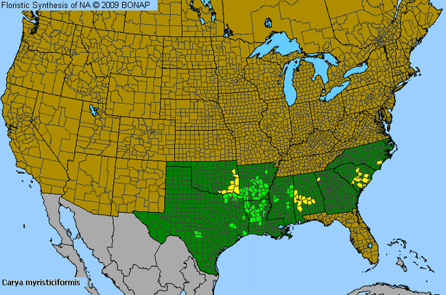 Allergies By County Map For Nutmeg Hickory