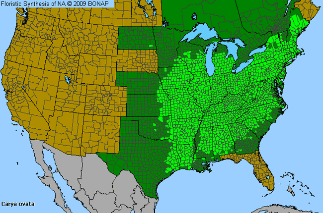 Allergies By County Map For Shag-Bark Hickory