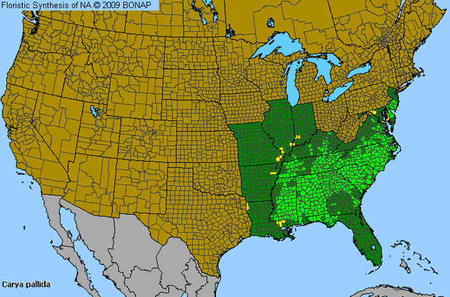 Allergies By County Map For Sand Hickory