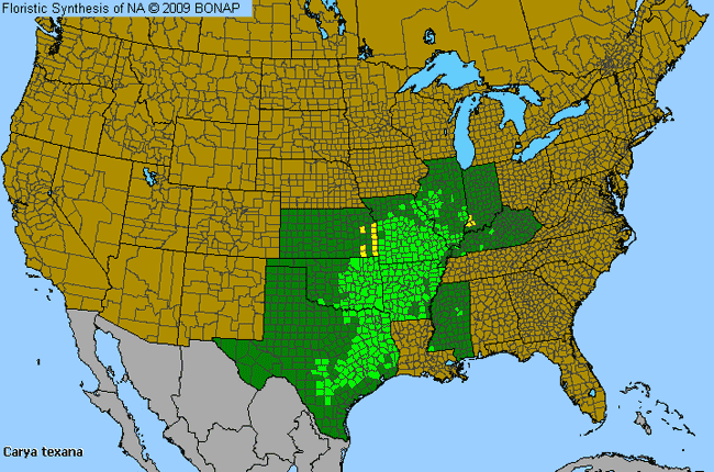 Allergies By County Map For Black Hickory