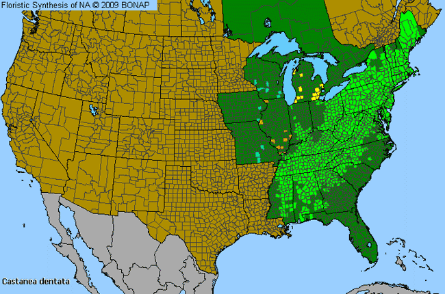 Allergies By County Map For American Chestnut