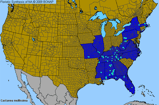 Allergies By County Map For Chinese Chestnut