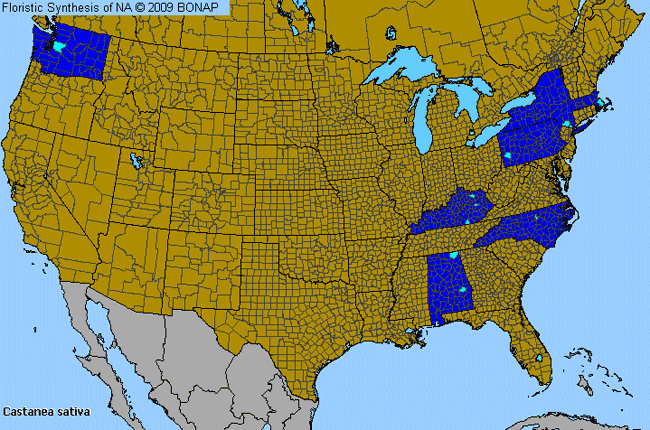 Allergies By County Map For Spanish Chestnut