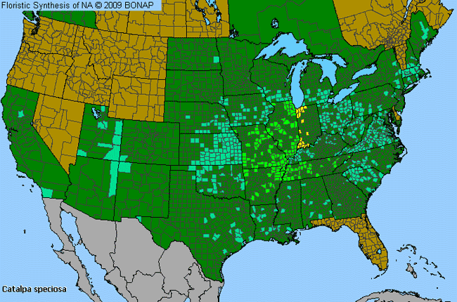 Allergies By County Map For Northern Catalpa