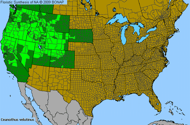 Allergies By County Map For Tobacco-Brush