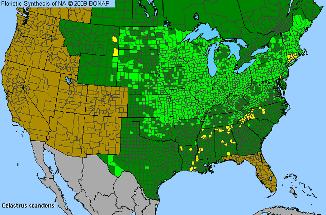 Allergies By County Map For American Bittersweet