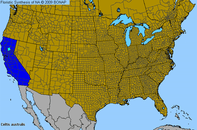 Allergies By County Map For Mediterranean Hackberry