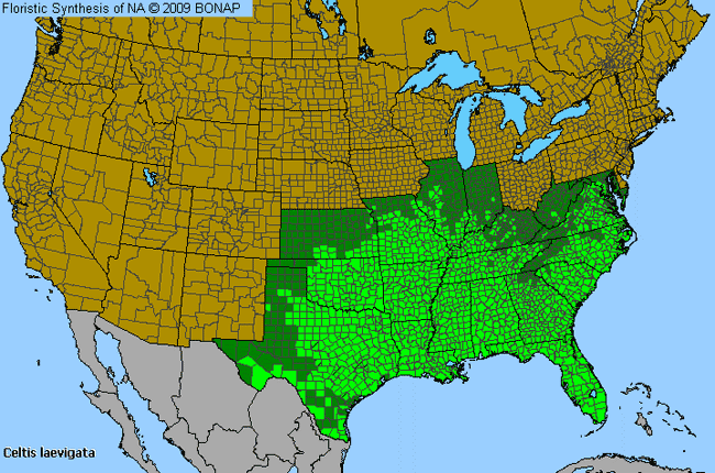 Allergies By County Map For Sugar-Berry