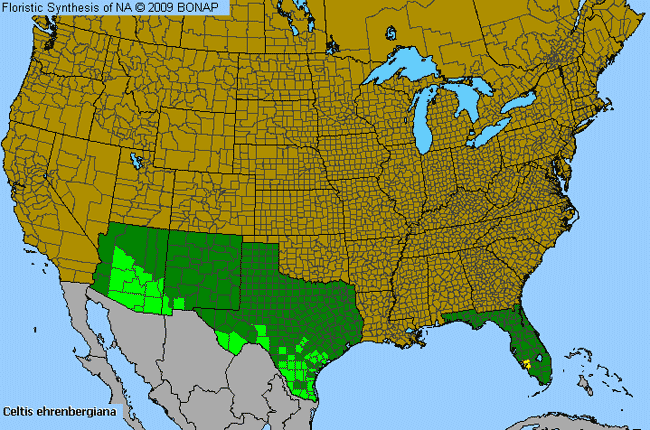 Allergies By County Map For Shiny Hackberry