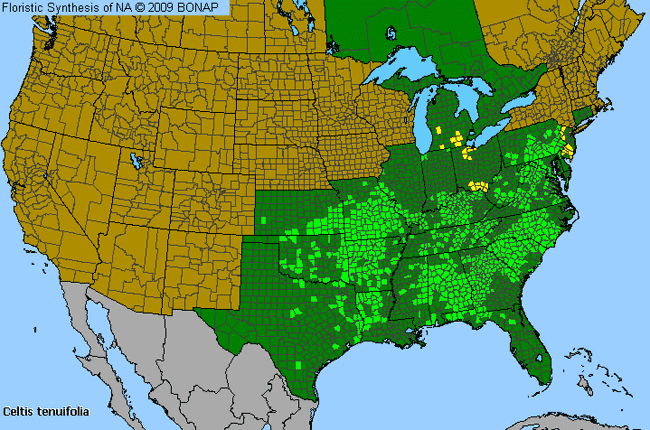 Allergies By County Map For Dwarf Hackberry