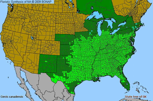 Allergies By County Map For Redbud