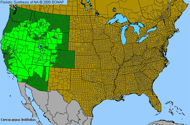 Allergies By County Map For Curl-Leaf Mountain-Mahogany