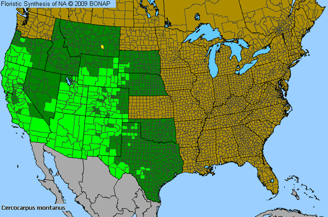 Allergies By County Map For Alder-Leaf Mountain-Mahogany