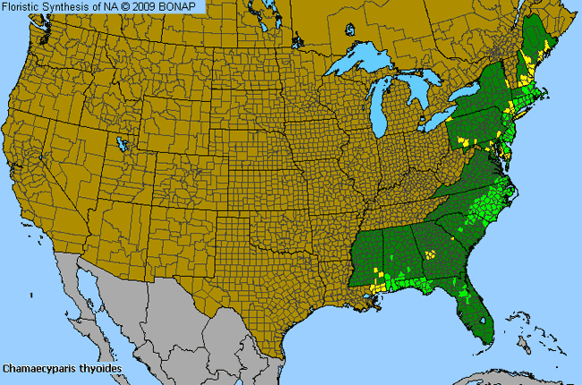 Allergies By County Map For Atlantic White-Cedar