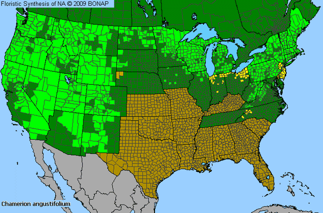 Allergies By County Map For Narrow-Leaf Fireweed