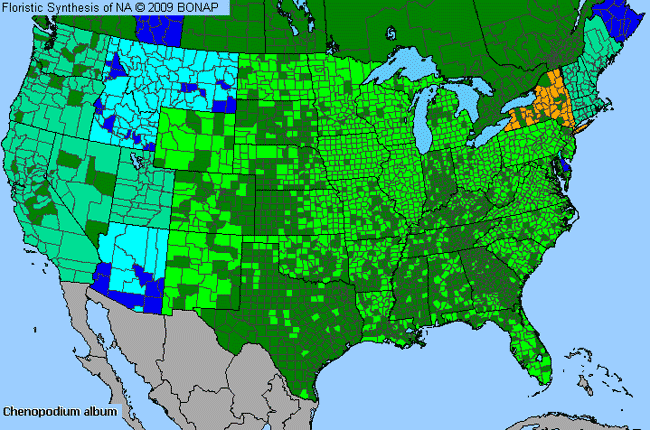 Allergies By County Map For Lamb's-Quarters