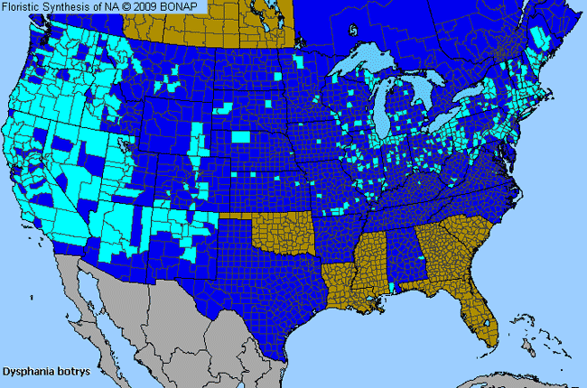 Allergies By County Map For Jerusalem-Oak