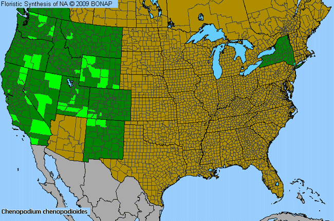 Allergies By County Map For Low Goosefoot