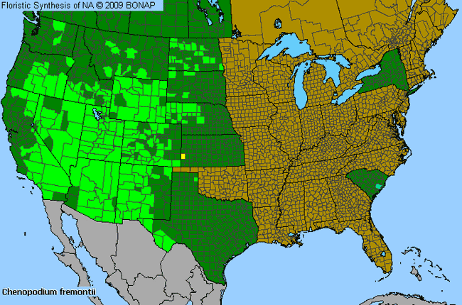 Allergies By County Map For Fremont's Goosefoot