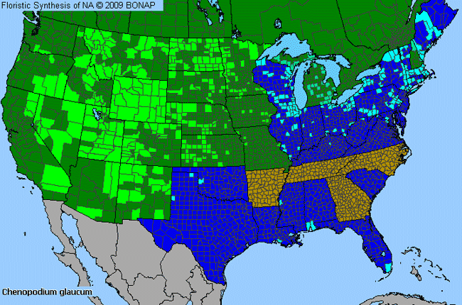 Allergies By County Map For Oak-Leaf Goosefoot