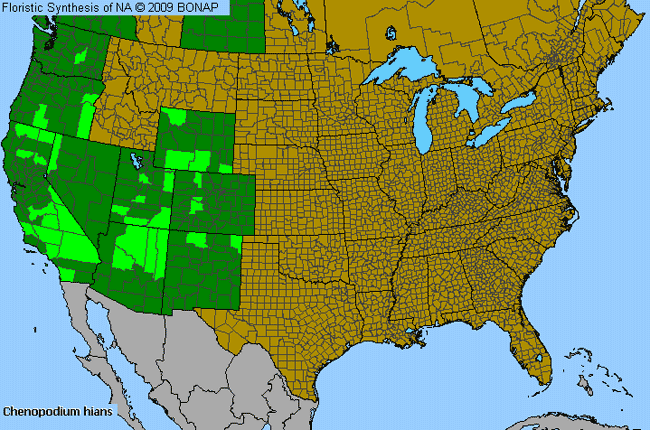 Allergies By County Map For Hians Goosefoot