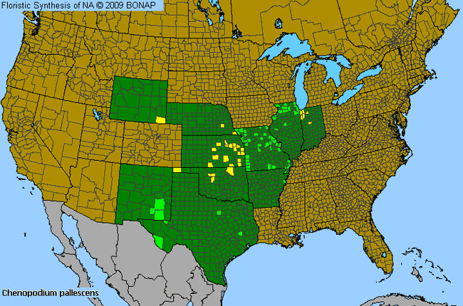 Allergies By County Map For Slim-Leaf Goosefoot