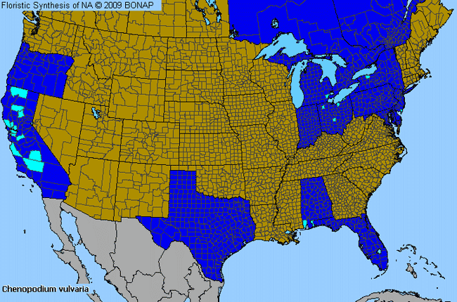 Allergies By County Map For Stinking Goosefoot