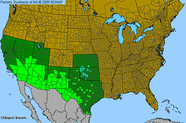 Allergies By County Map For Desert-Willow