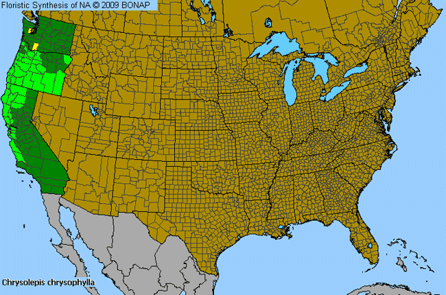 Allergies By County Map For Golden Chinkapin