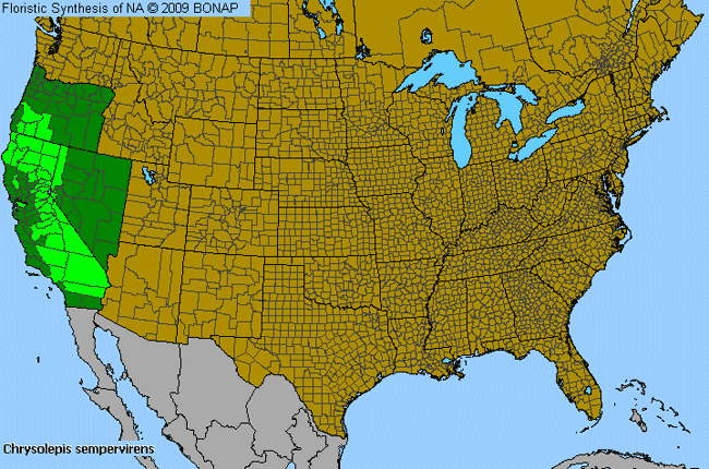 Allergies By County Map For Sierran Chinkapin